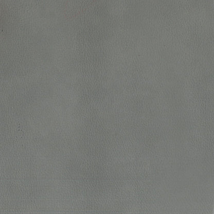 Camden Aline Light Gray Swatch
