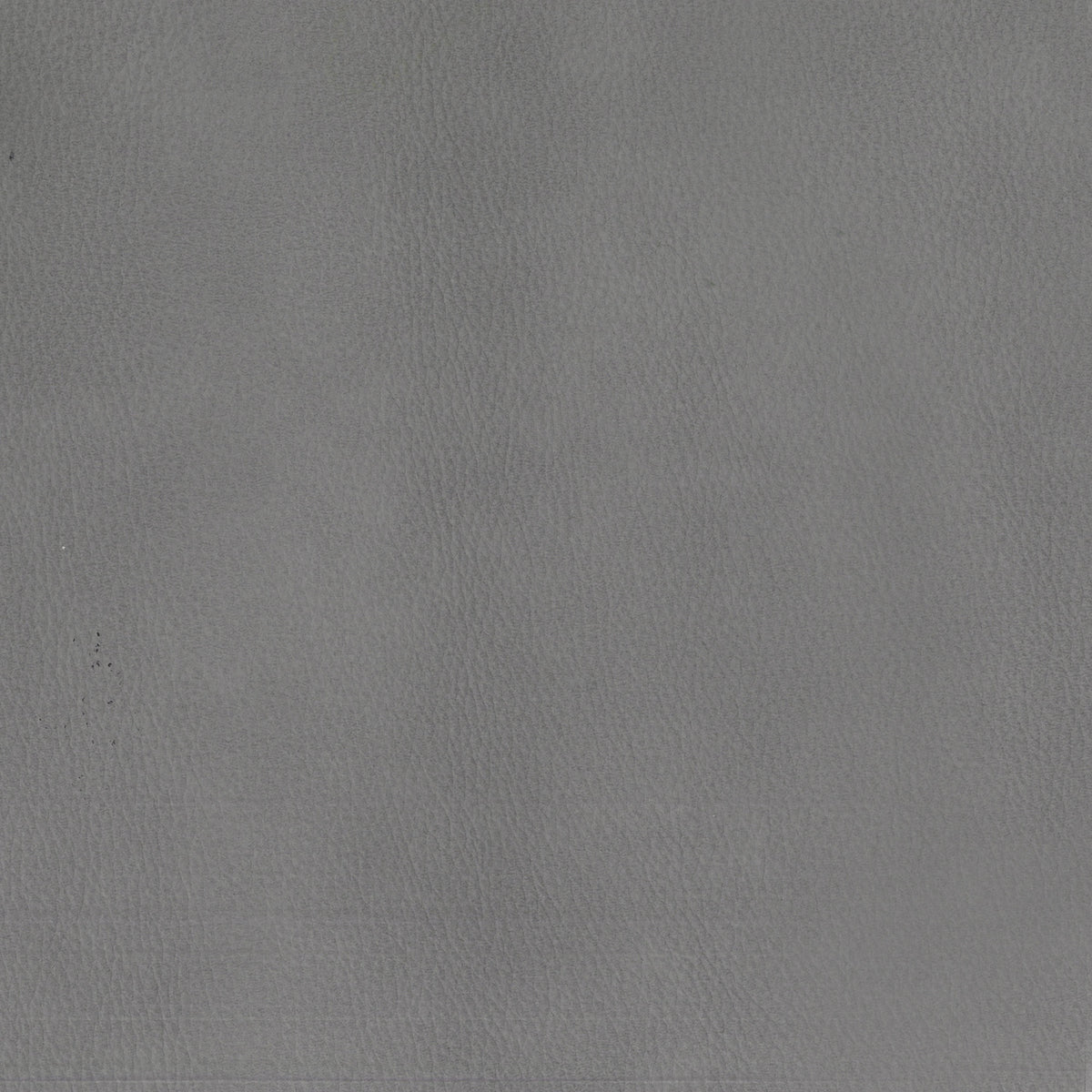 Camden Aline Light Gray Swatch