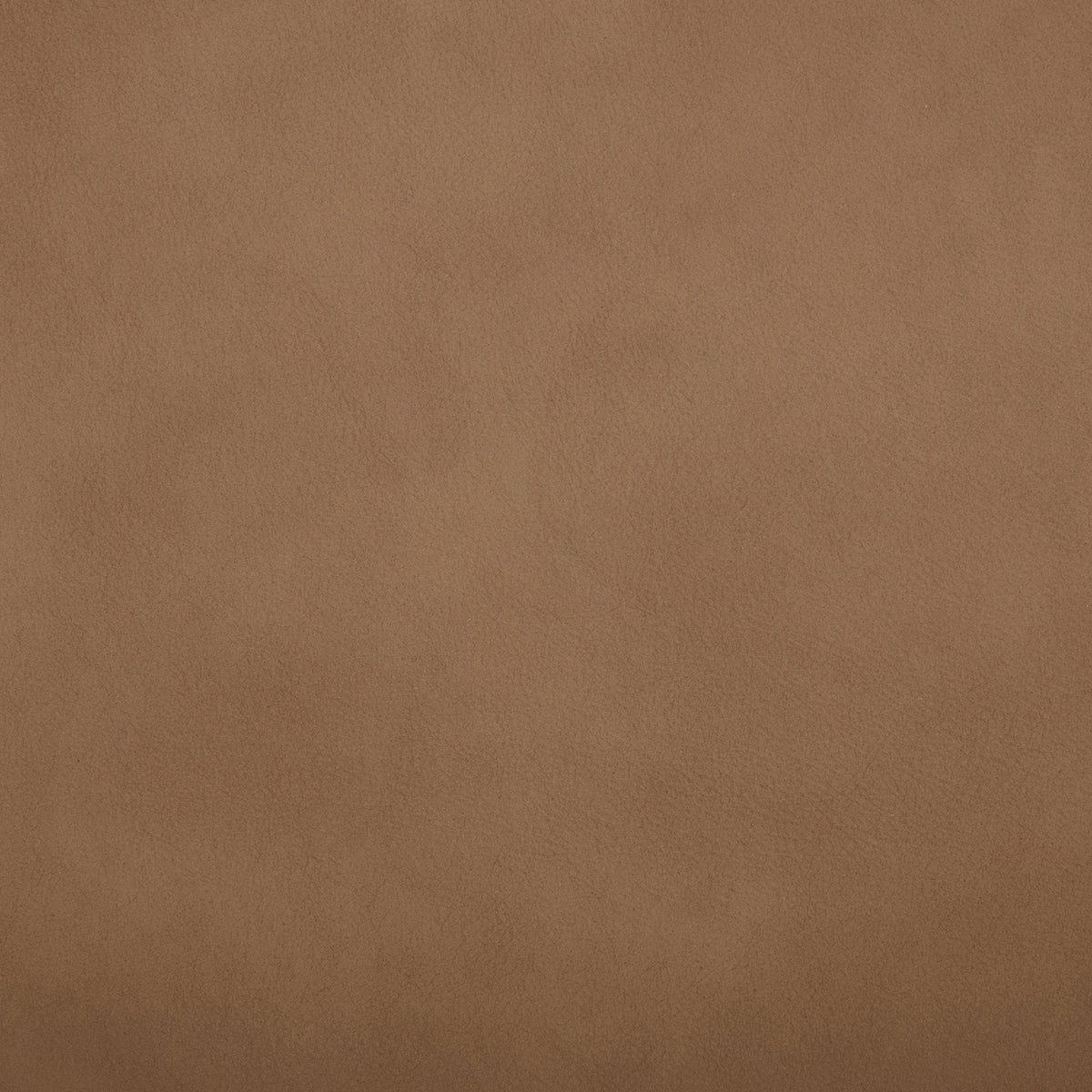 Camden Aline Toast Swatch