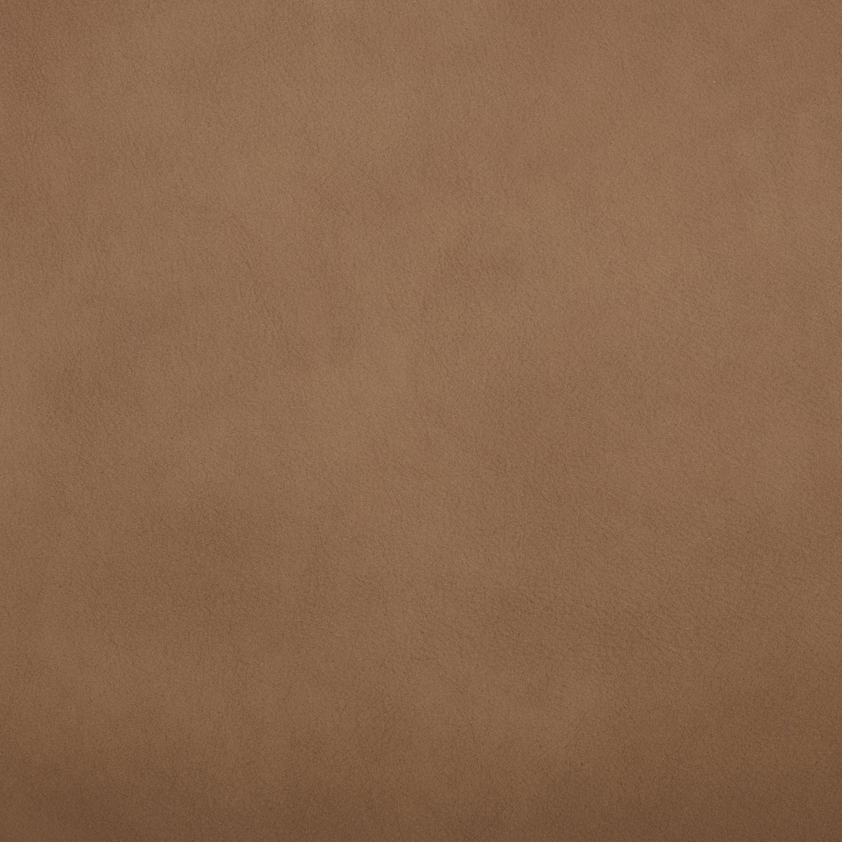 Camden Aline Toast Swatch
