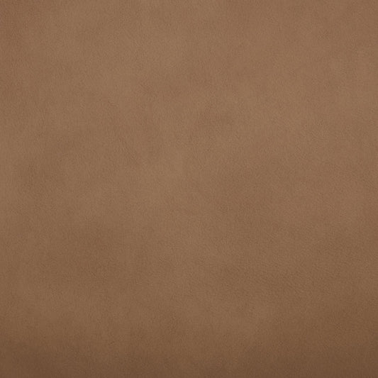 Camden Aline Toast Swatch