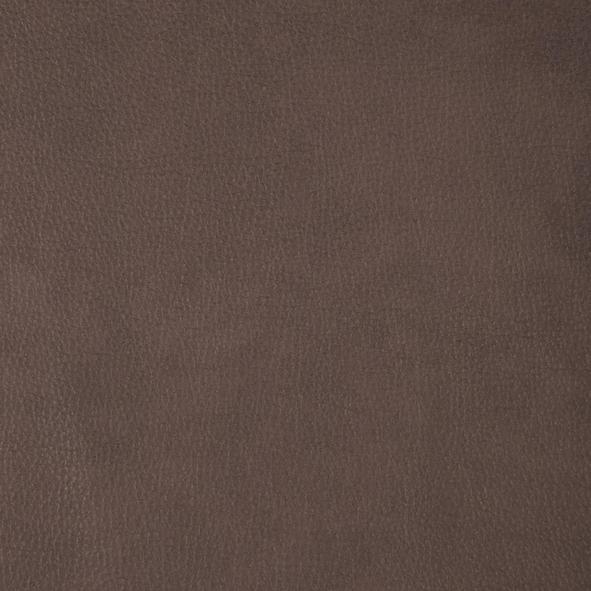 Beckham Aline Saddle Swatch