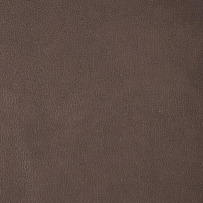 Beckham Aline Saddle Swatch