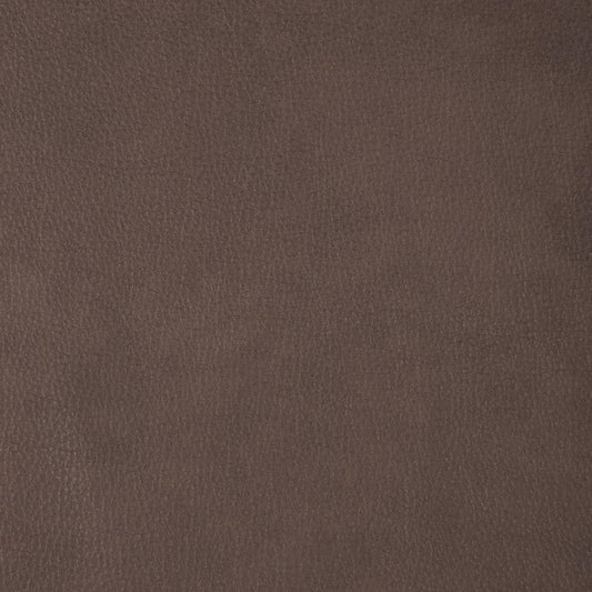 Beckham Aline Saddle Swatch