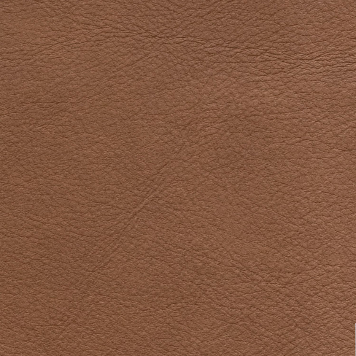 Chase Oslo Antelope Swatch