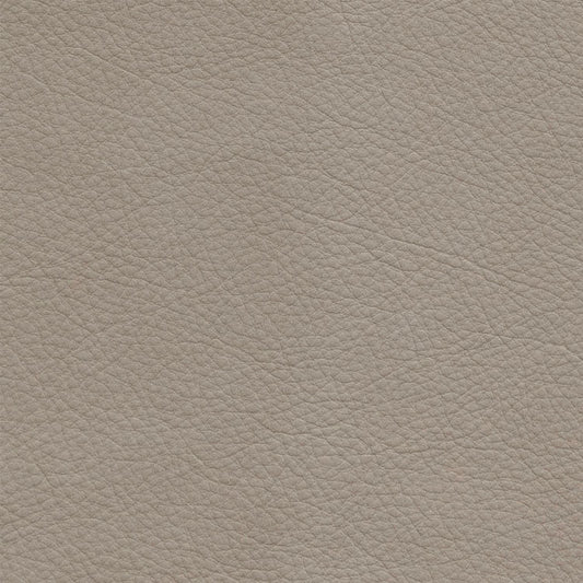 Chase Oslo Grey Swatch