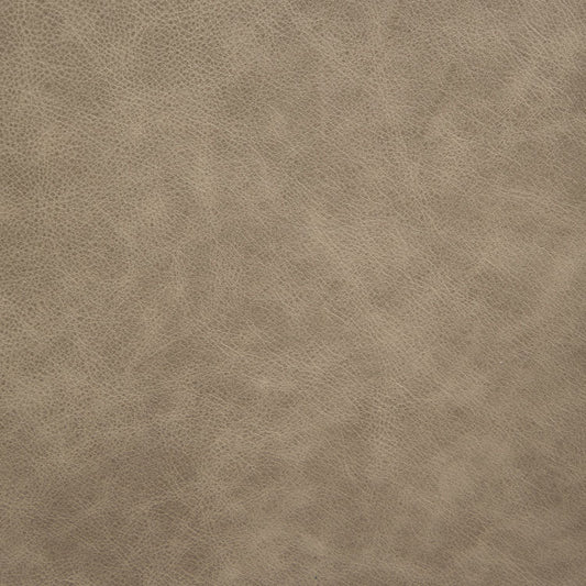 Carlton Sintra Taupe Swatch