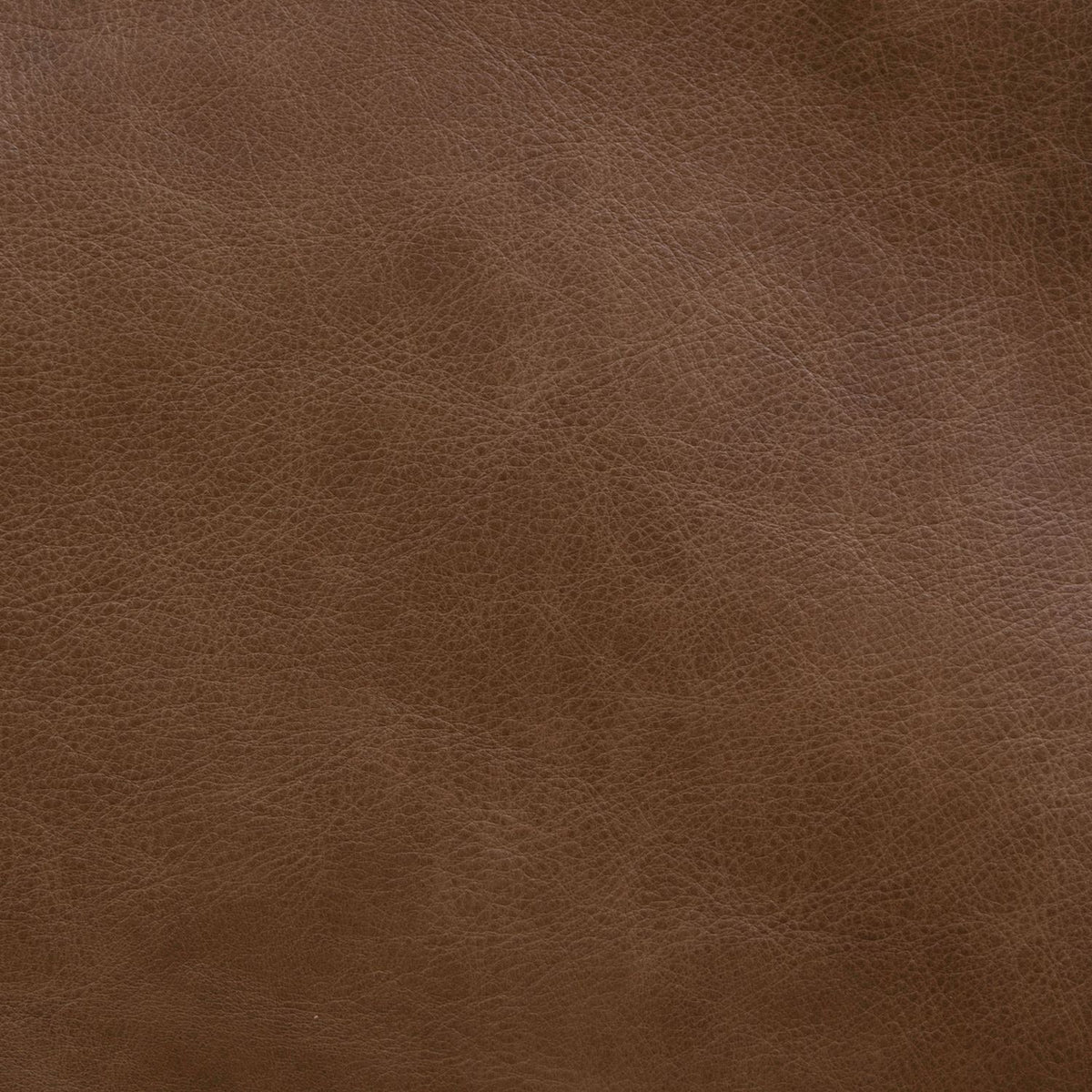 Carlton Sintra Vintage Brown Swatch