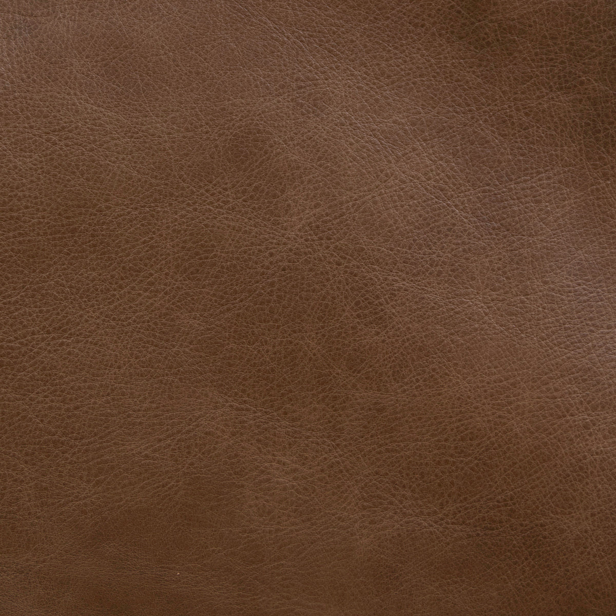 Carlton Sintra Vintage Brown Swatch