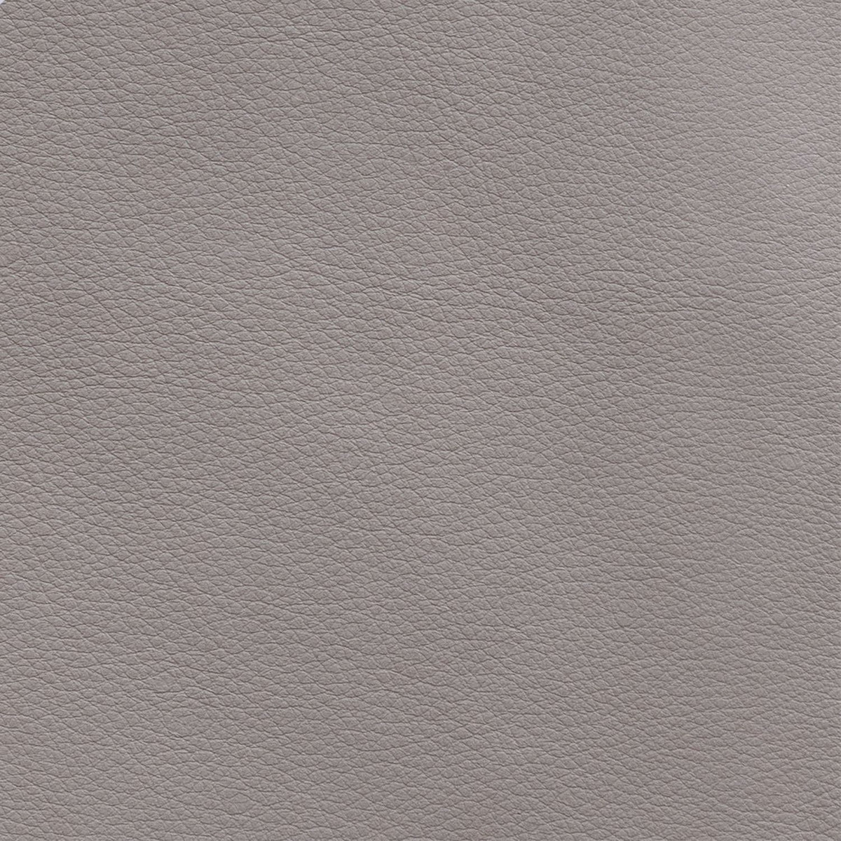 Cora Aline Cashmere Swatch