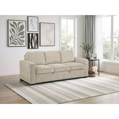 Koben Convertible Sofa with Pull-out Bed