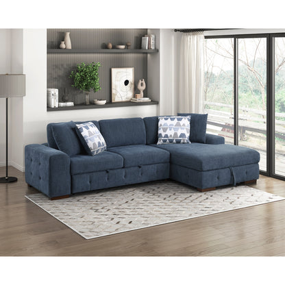 Raife 2-Piece Sectional with Right Chaise and Pull-out Bed