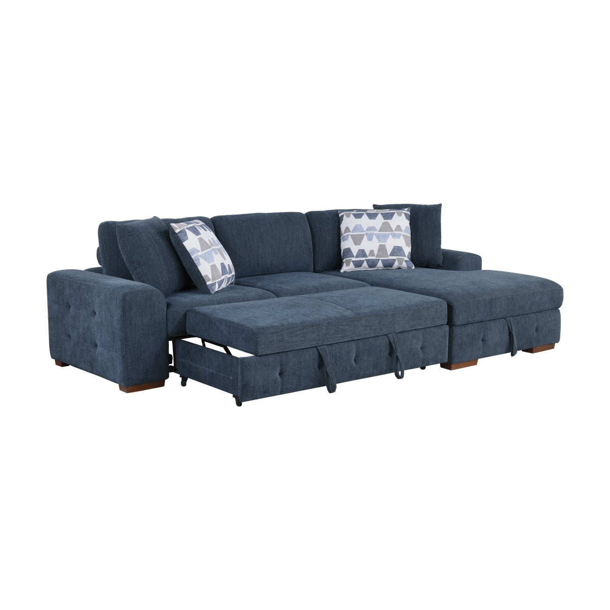 Raife 2-Piece Sectional with Right Chaise and Pull-out Bed