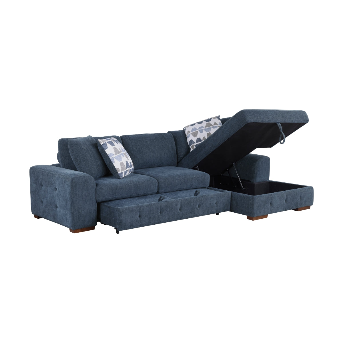 Raife 2-Piece Sectional with Right Chaise and Pull-out Bed