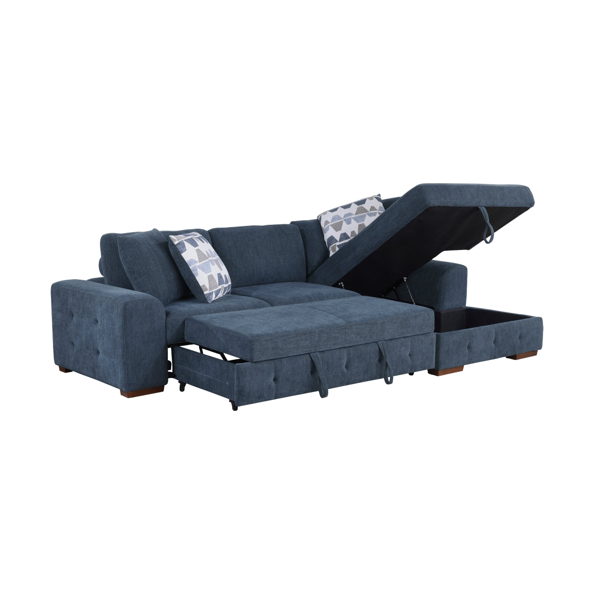 Raife 2-Piece Sectional with Right Chaise and Pull-out Bed