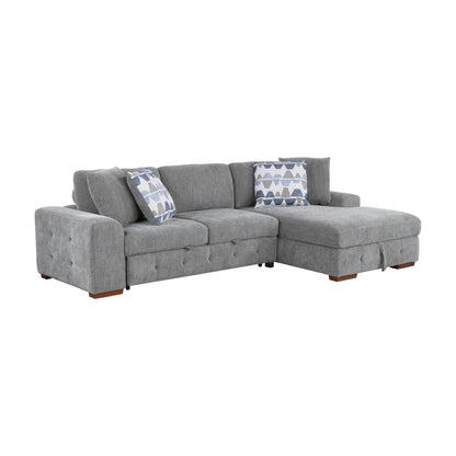 Raife 2-Piece Sectional with Right Chaise and Pull-out Bed