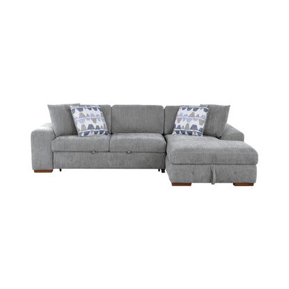 Raife 2-Piece Sectional with Right Chaise and Pull-out Bed