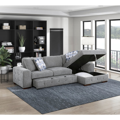 Raife 2-Piece Sectional with Right Chaise and Pull-out Bed