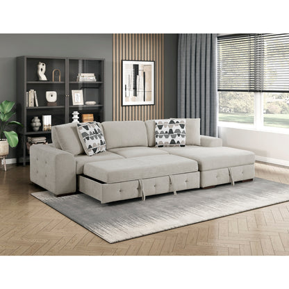 Raife 2-Piece Sectional with Right Chaise and Pull-out Bed