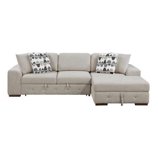 Raife 2-Piece Sectional with Right Chaise and Pull-out Bed