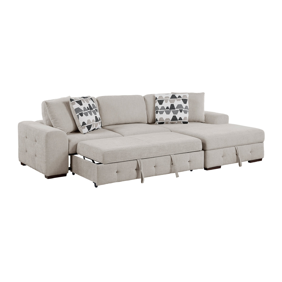 Raife 2-Piece Sectional with Right Chaise and Pull-out Bed