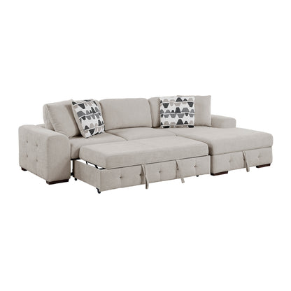 Raife 2-Piece Sectional with Right Chaise and Pull-out Bed
