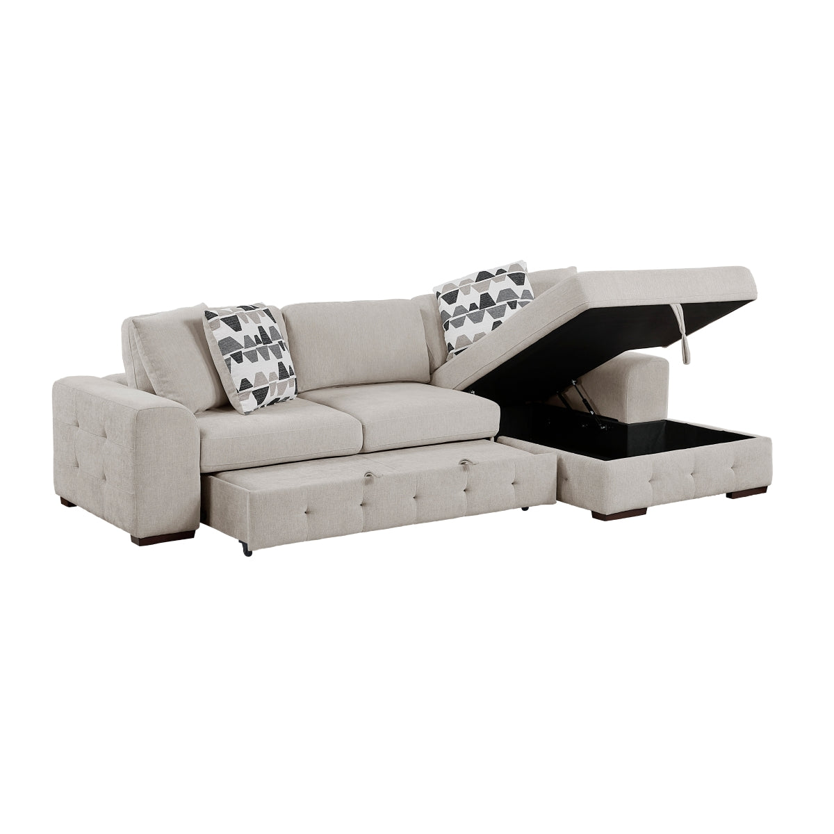 Raife 2-Piece Sectional with Right Chaise and Pull-out Bed