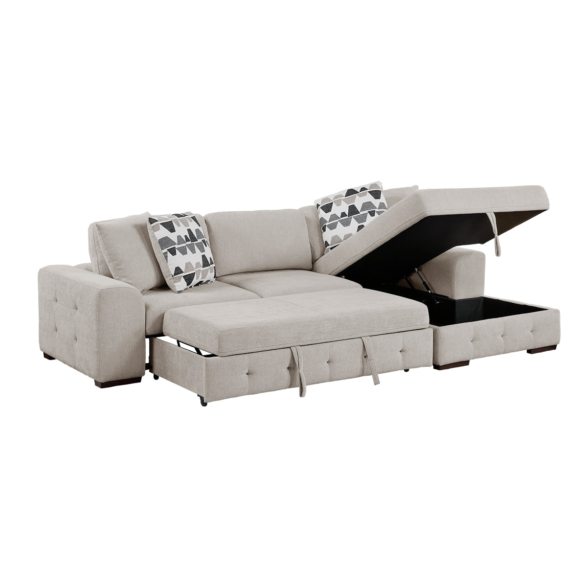 Raife 2-Piece Sectional with Right Chaise and Pull-out Bed