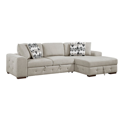 Raife 2-Piece Sectional with Right Chaise and Pull-out Bed