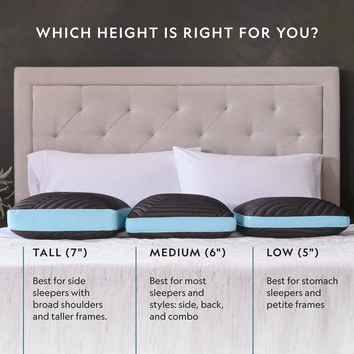 Ice Cloud® + OmniPhase® Mid Loft Pillow